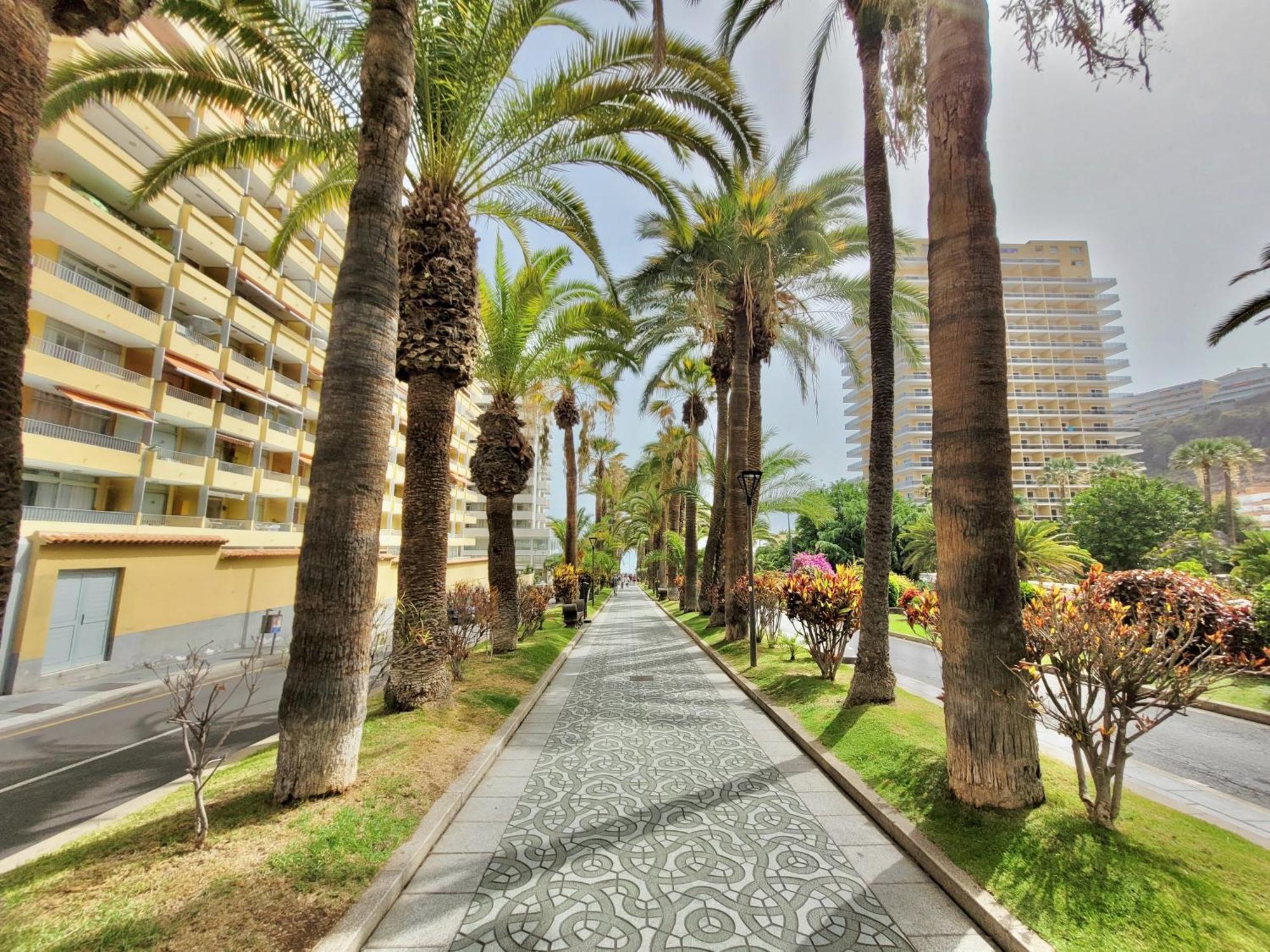 Apartamento Alta Groundfloor Puerto de la Cruz (Tenerife)